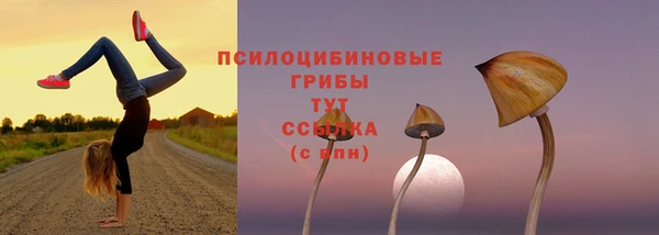 скорость Волоколамск