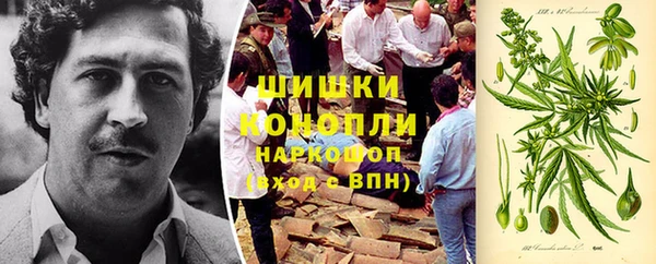 ПСИЛОЦИБИНОВЫЕ ГРИБЫ Верхний Тагил