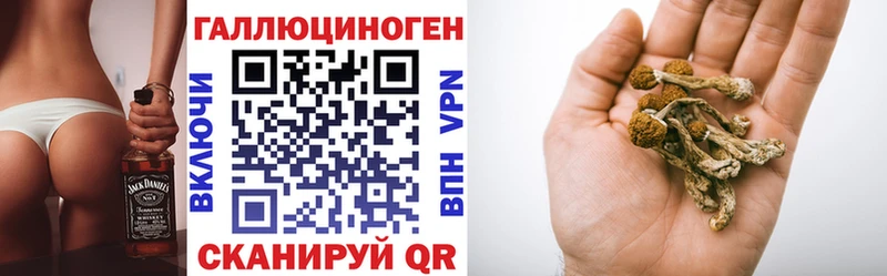 Псилоцибиновые грибы Magic Shrooms  Вичуга 
